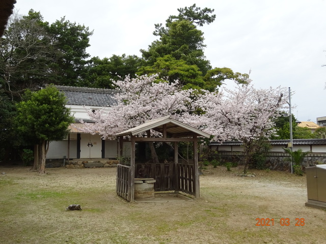 DSC00012.JPG