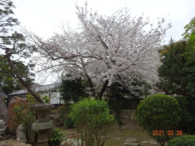 DSC00029.JPG
