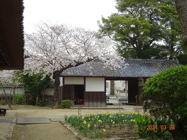 DSC00030.JPG