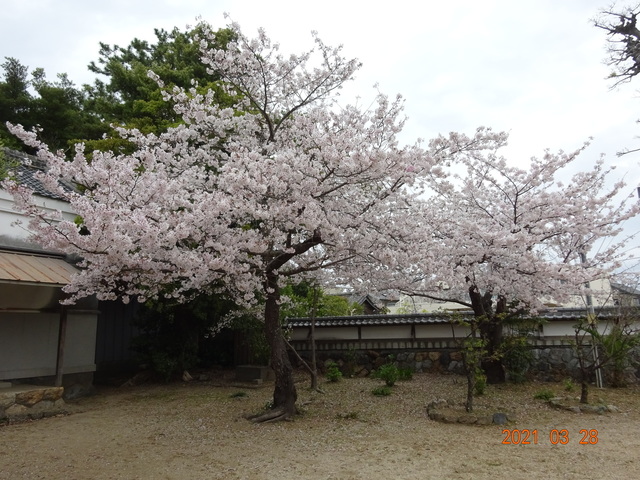 DSC00013.JPG