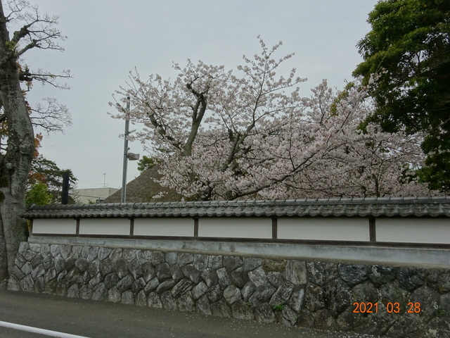 DSC00046.JPG