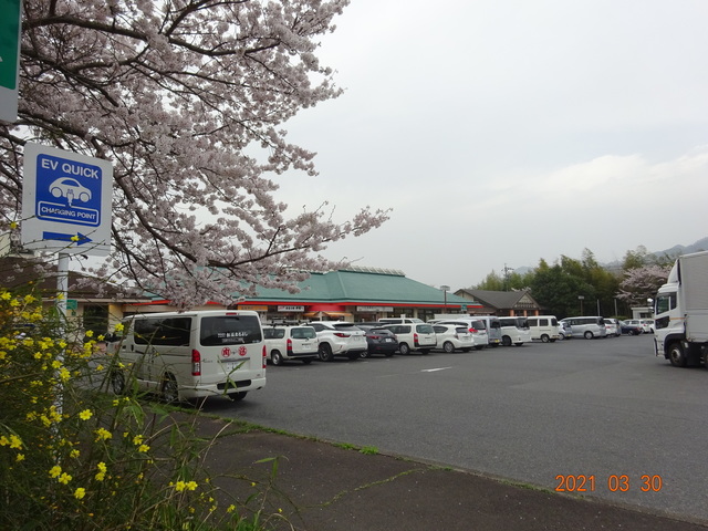 DSC00152.JPG