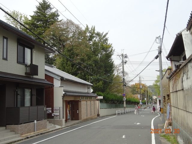 DSC00144.JPG