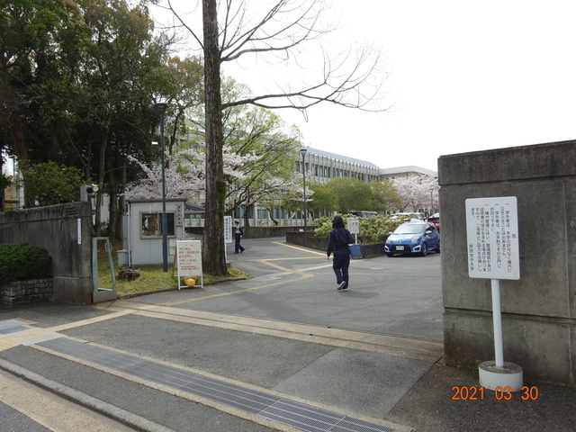 DSC00147.JPG