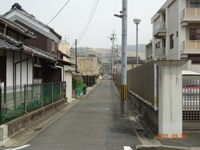 DSC00149.JPG