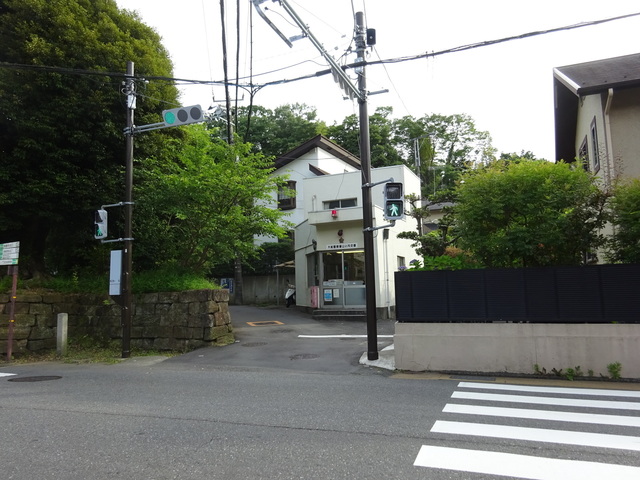 DSC00444.JPG