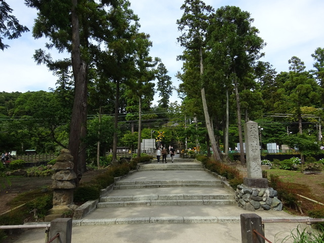 DSC00370.JPG