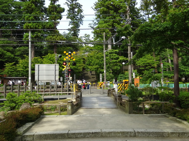 DSC00371.JPG