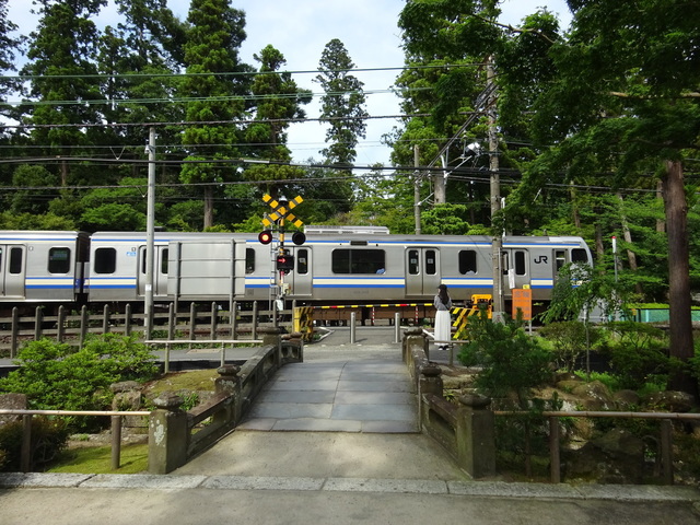 DSC00373.JPG