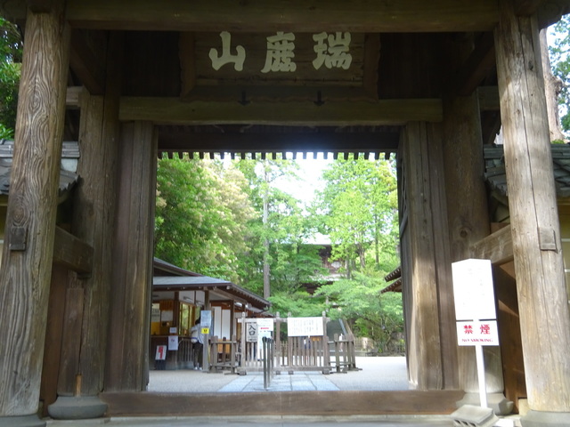 DSC00439.JPG