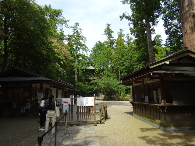 DSC00378.JPG