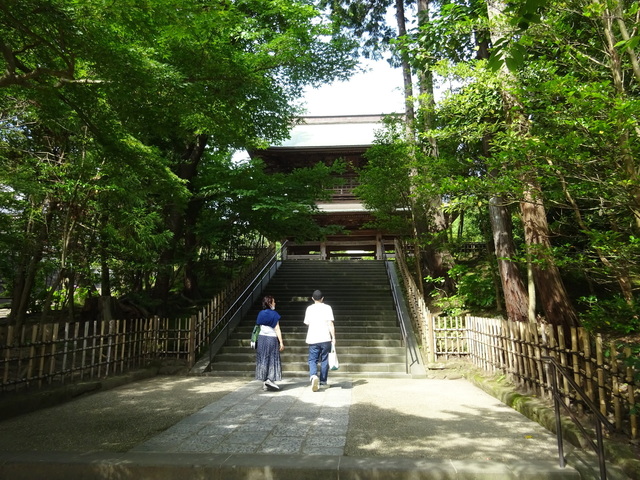 DSC00379.JPG