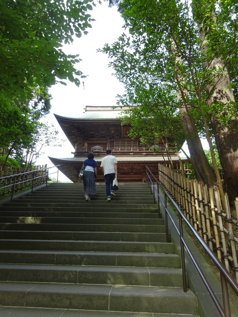 DSC00380.JPG