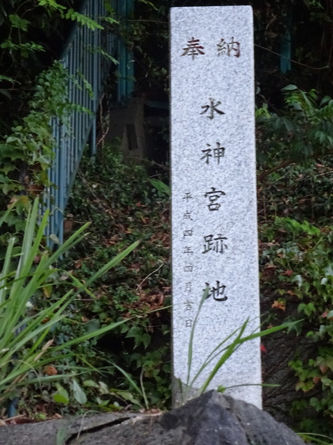 DSC06539.JPG