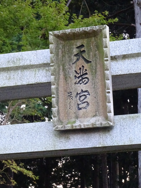 DSC06515.JPG