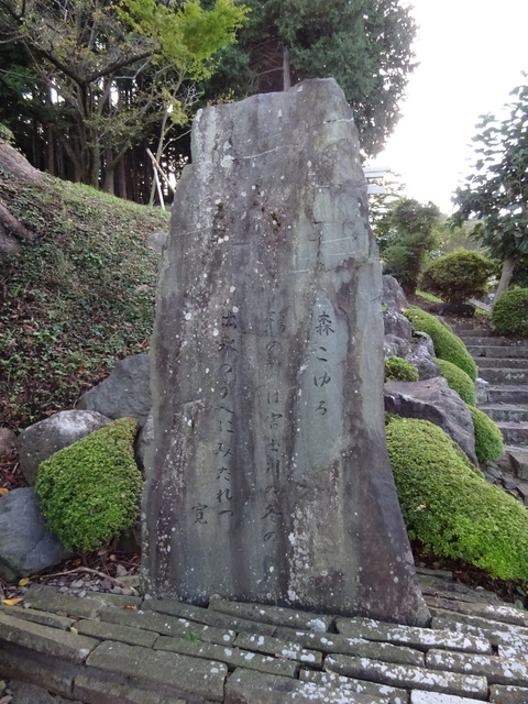 DSC06513.JPG