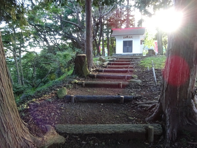 DSC06517.JPG