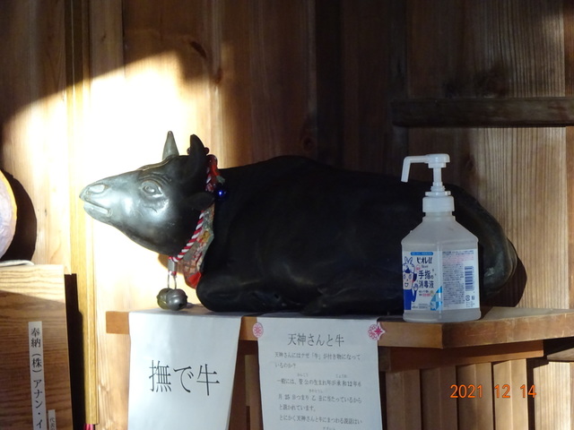 DSC00238.JPG