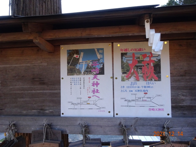 DSC00248.JPG