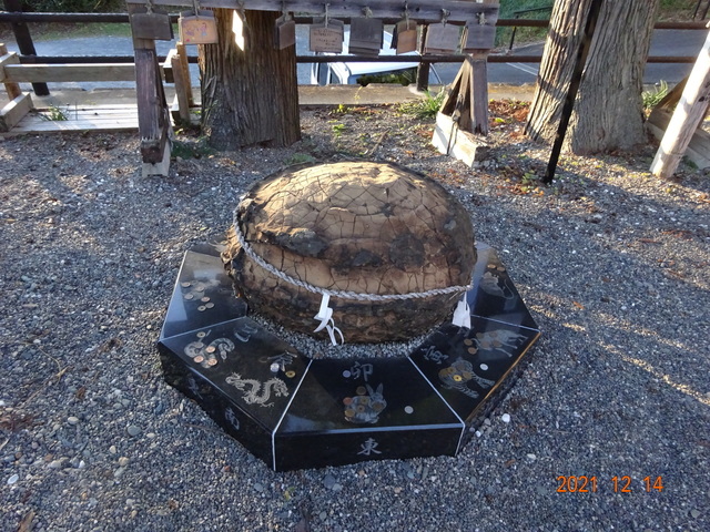 DSC00246.JPG