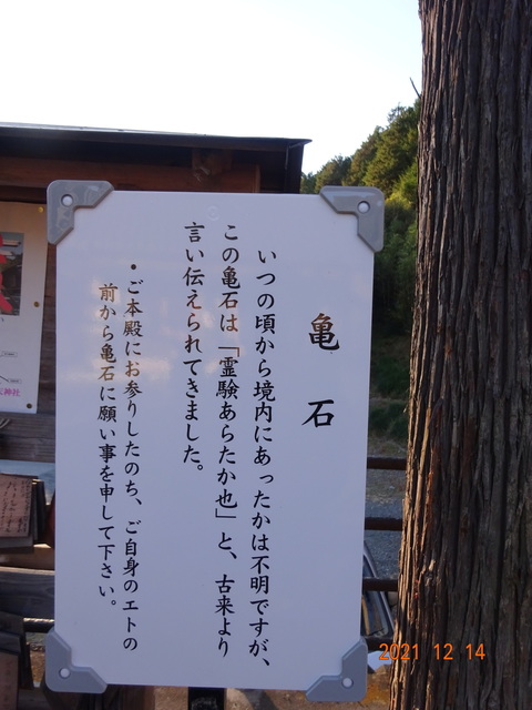 DSC00247.JPG
