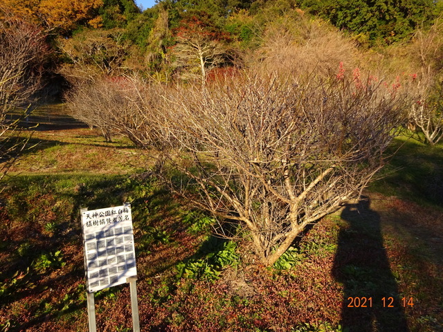 DSC00252.JPG