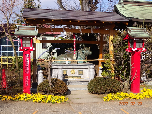 DSC00369.JPG