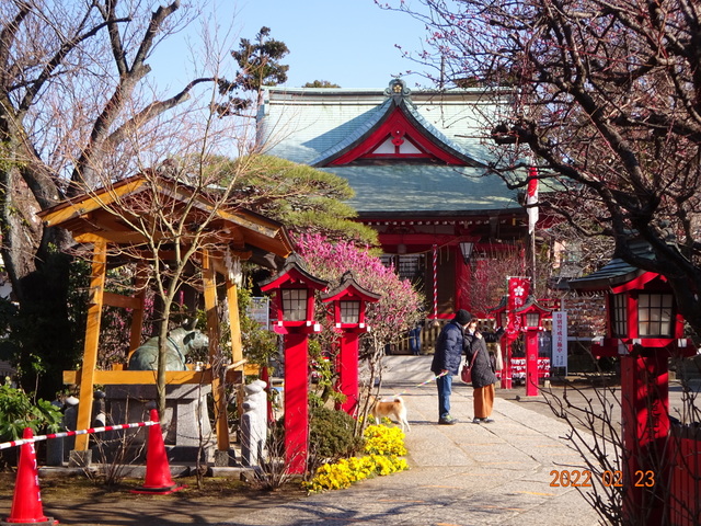 DSC00363.JPG