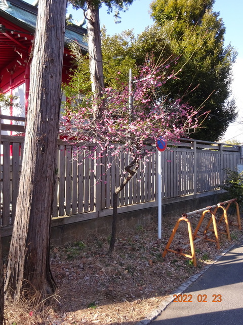 DSC00378.JPG
