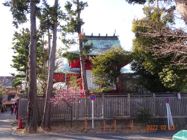 DSC00408.JPG