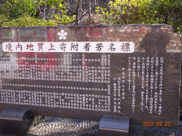 DSC00381.JPG