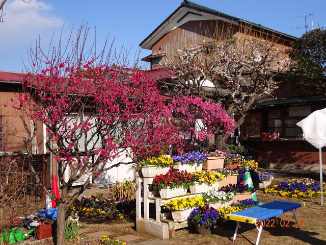 DSC00395.JPG