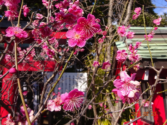 DSC00366.JPG