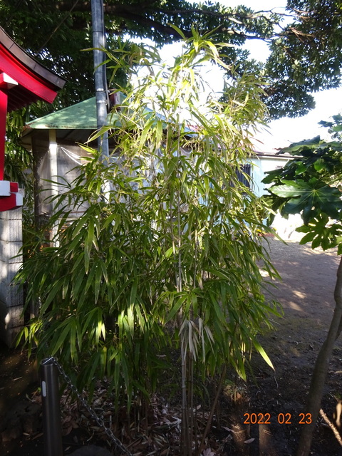 DSC00409.JPG