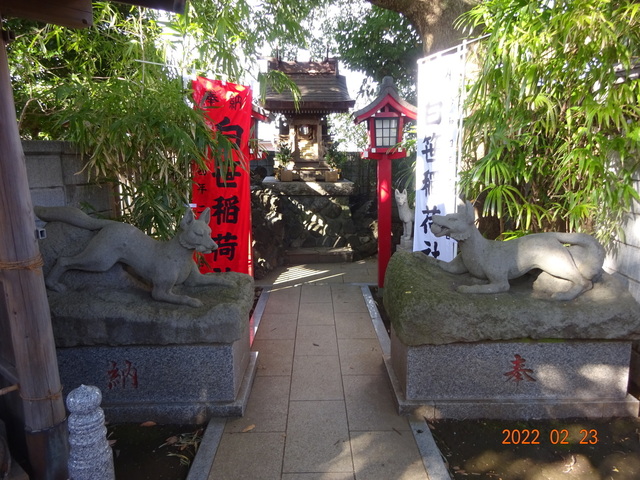 DSC00401.JPG