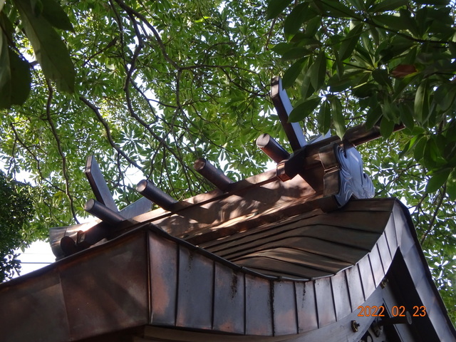 DSC00403.JPG
