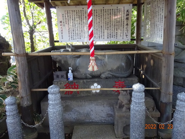 DSC00400.JPG