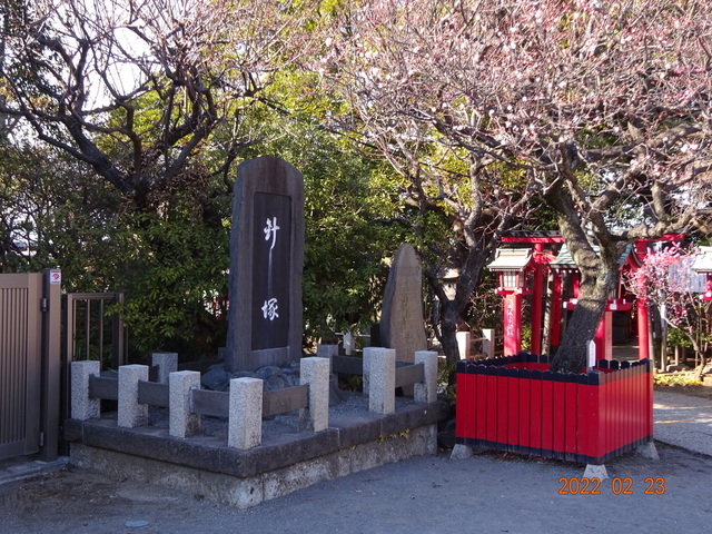 DSC00394.JPG