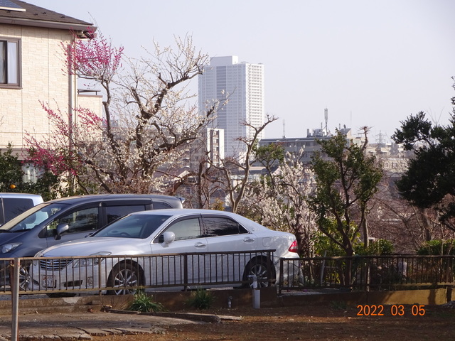 DSC00440.JPG