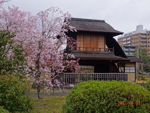 DSC00547.JPG