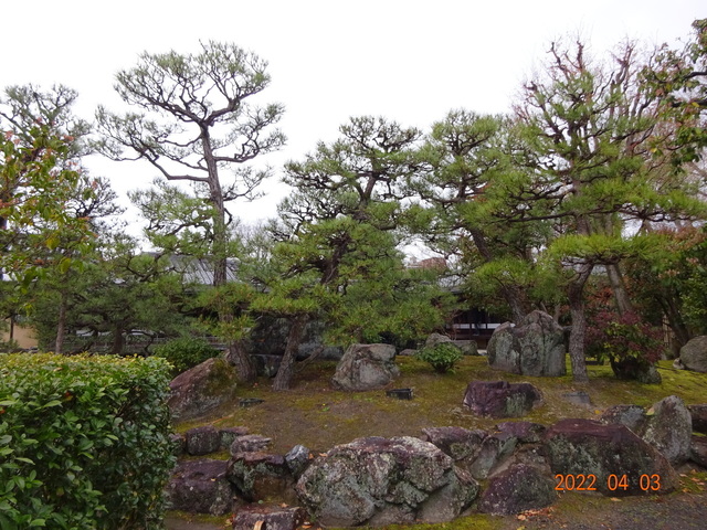DSC00497.JPG