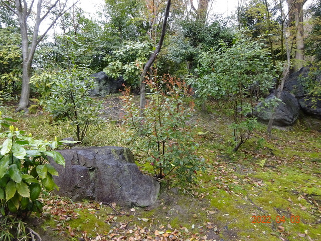 DSC00504.JPG