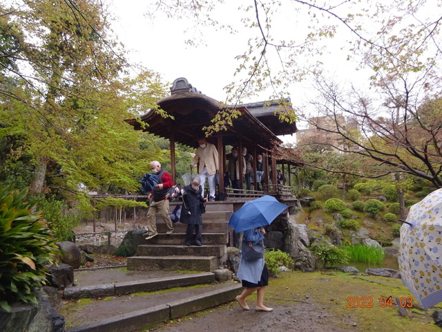 DSC00506.JPG