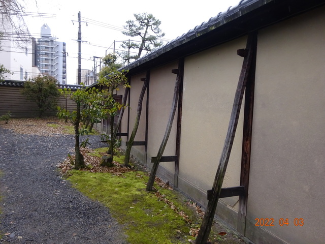 DSC00558.JPG