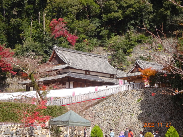 DSC01594.JPG