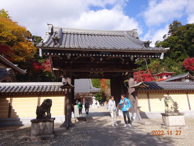 DSC01595.JPG