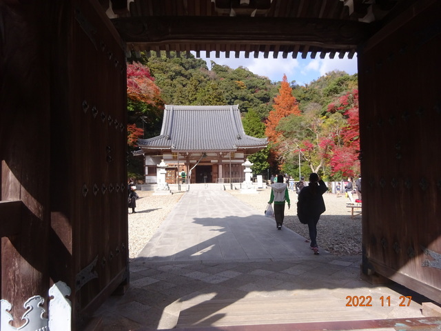 DSC01597.JPG
