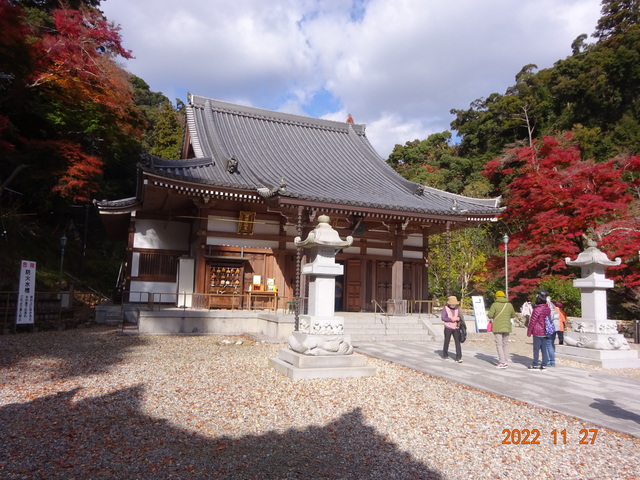 DSC01603.JPG