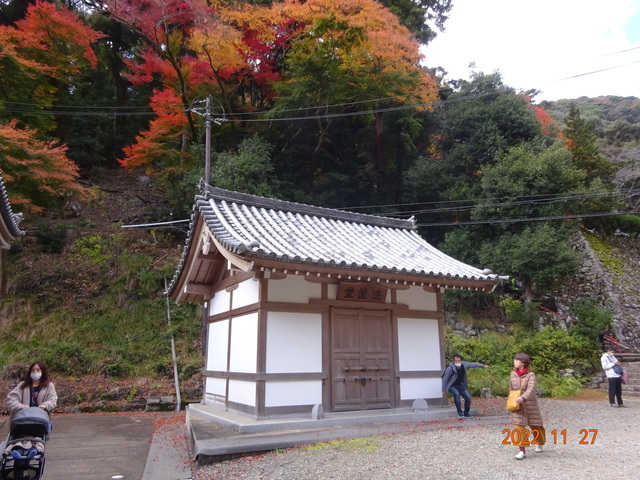 DSC01608.JPG