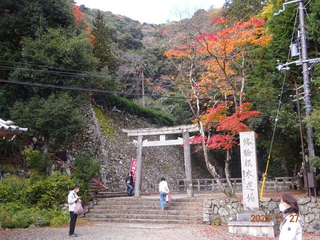 DSC01609.JPG